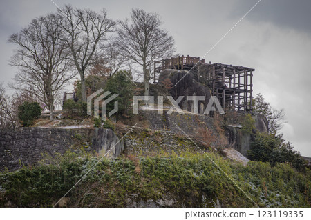 Naegi Castle in winter, Nakatsugawa City, Gifu Prefecture 123119335
