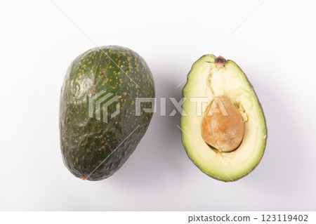 Avocado  123119402