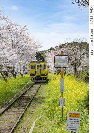 Spring Isumi Railway Fusamoto Station 123119423