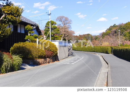 千葉縣松戶市 21世紀森林與廣場區 2025年2月 123119508