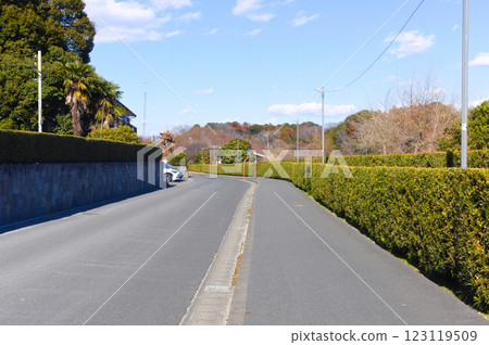 千葉縣松戶市 21世紀森林與廣場區 2025年2月 123119509