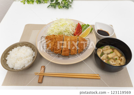 豬排介紹 豬排介紹 123119569