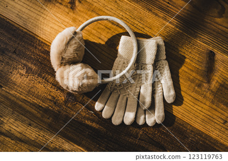Winter accessories still life Winter accessories still life 123119763
