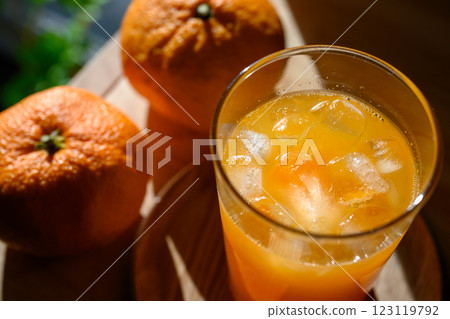 Freshly squeezed homemade mandarin juice 123119792