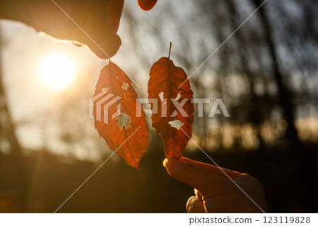 Making a face out of dead leaves 123119828
