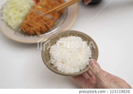 炸豬排套餐筷子飼養 炸豬排套餐筷子飼養 123119838