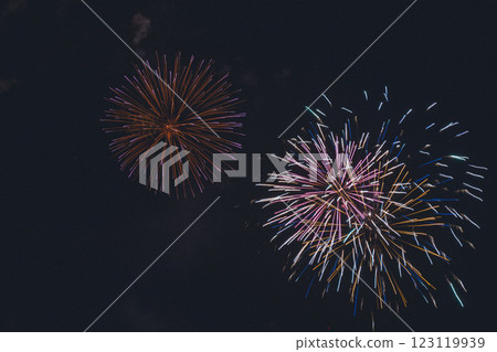 伊豆花火大會 伊豆花火大會 123119939