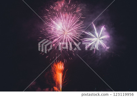 Izu Fireworks Festival 123119956