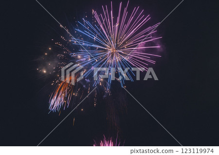 伊豆花火大會 123119974