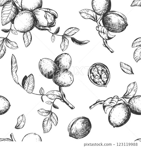 Seamless pattern of walnut branches. Vector background with kernels, leaves and nut skin. Engraving style illustration. Design for packaging, wallpaper, kitchen textile. Hand drawn ink sketch. 123119988