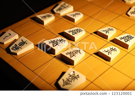 The game board for the 74th Osho tournament, game 1, where a player resigned 123120001