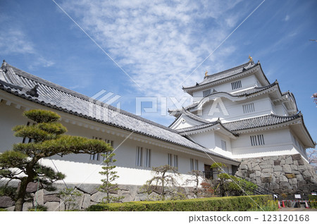 Chiba Prefectural Central Museum Otaki Castle Annex Chiba Prefectural Central Museum Otaki Castle Annex 123120168