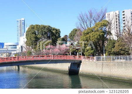 Ebara Shrine and Kanhizakura 123120205