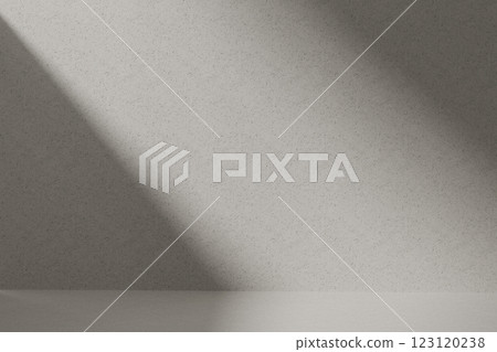 A monotone wall with natural light and shade that can be used in a variety of designs. 123120238