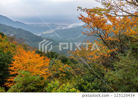 屋久島近海阿爾卑斯:綏爛的秋葉(11月) 屋久島近海阿爾卑斯:綏爛的秋葉(11月) 123120434