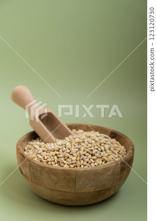 Raw pearl barley porridge Gluten free cereals. Health gut benefits. Concept of alternative whole spelt grain ingredient. Vegetarian diet recipes. Plant-based lifestyle. Copy space Protein rich 123120730