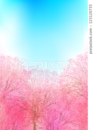 Cherry blossom Japanese paper pattern background 123120735