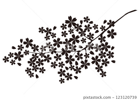 櫻花剪影春天花圖標 123120739