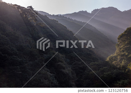 屋久島近海阿爾卑斯山:晨曦中閃耀的山脈(11月) 屋久島近海阿爾卑斯山:晨曦中閃耀的山脈(11月) 123120756