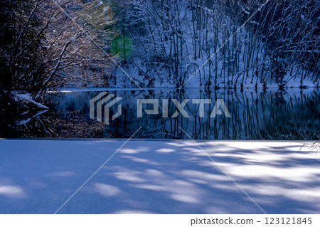 210106 Dam Lake g028 123121845