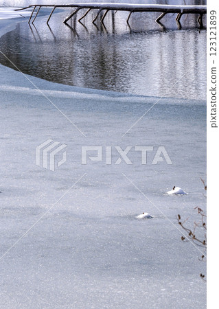 210106 Dam Lake g156 123121899