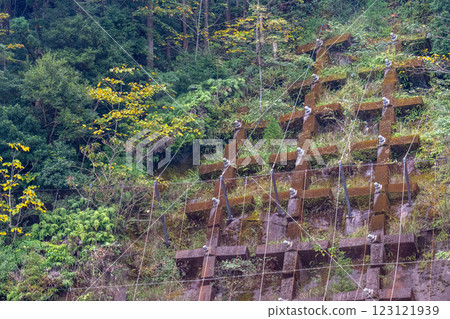 Yakushima erosion control slope protection work (November) 123121939
