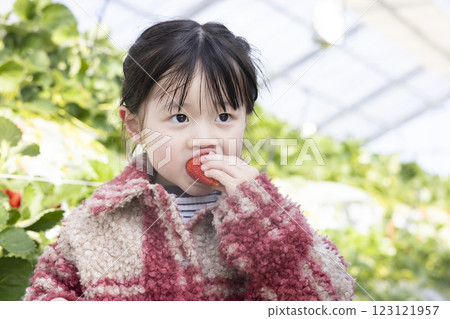 Girl enjoying strawberry hunting 123121957