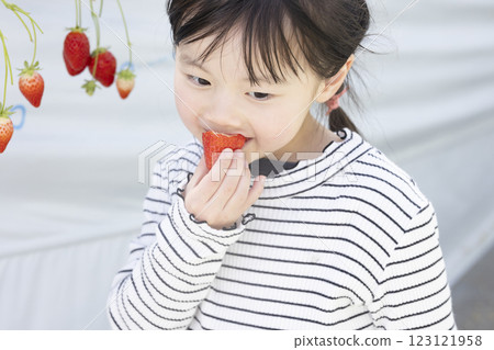 Girl enjoying strawberry hunting 123121958