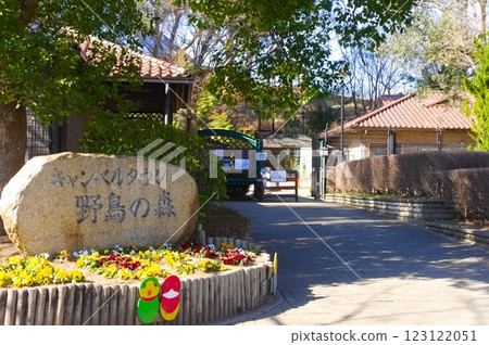 Campbell Town Wild Bird Forest area, Koshigaya City, Saitama Prefecture January 2025 123122051