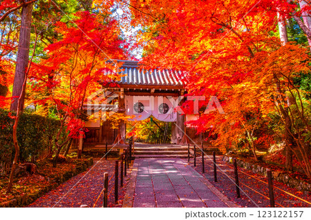 Autumn leaves of Kyoto Komyoji 123122157