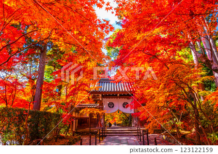 Autumn leaves of Kyoto Komyoji 123122159