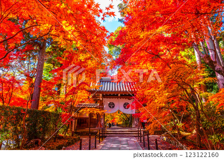 京都Komyoji秋葉 123122160