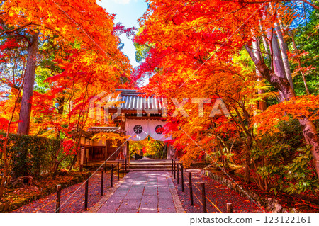 Autumn leaves of Kyoto Komyoji 123122161