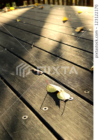 秋天夕陽下的公園裡的一張桌子 秋天夕陽下的公園裡的一張桌子 123122170