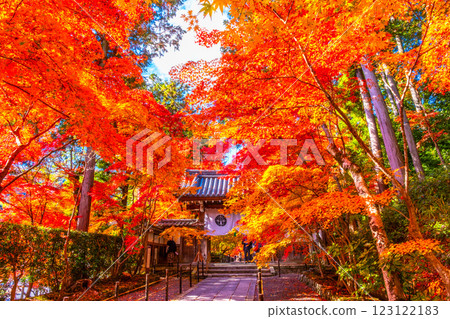 京都光明寺路上的秋葉 123122183