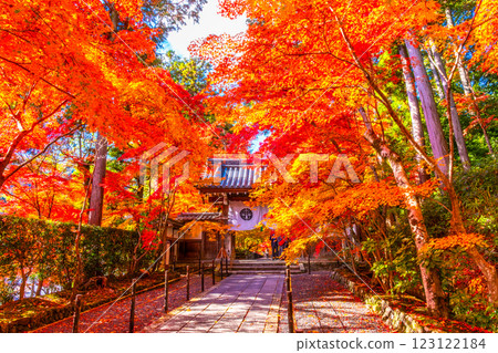 京都光明寺路上的秋葉 123122184