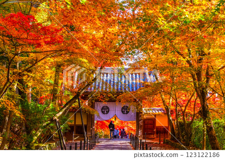 Autumn leaves on the approach to Komyo-ji Temple in Kyoto Autumn leaves on the approach to Komyo-ji Temple in Kyoto 123122186