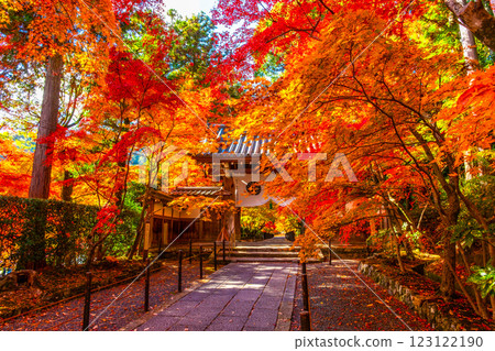 Autumn leaves on the approach to Komyo-ji Temple in Kyoto 123122190