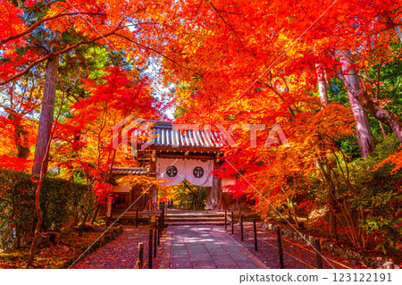Autumn leaves on the approach to Komyo-ji Temple in Kyoto 123122191