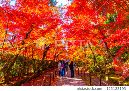 京都光明寺路上的秋葉 京都光明寺路上的秋葉 123122193