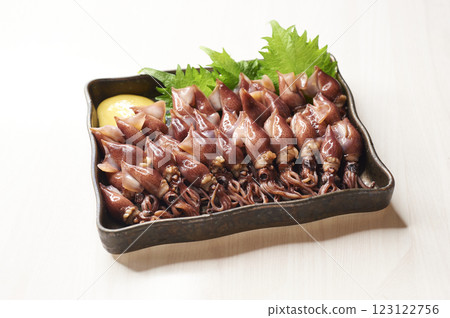 富山縣的螢火蟲魷魚 富山縣的螢火蟲魷魚 123122756