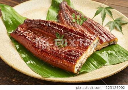 Grilled Chinese eel Grilled Chinese eel 123123002