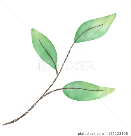 樹枝尖與樹葉手繪水彩插畫 123123198