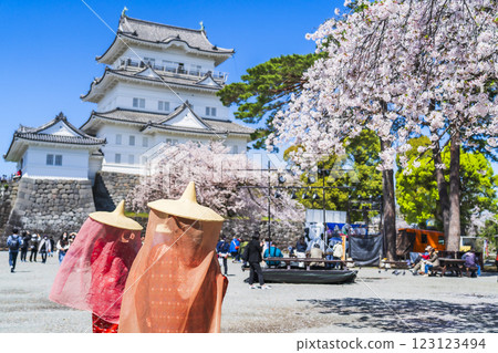 小田原城公園的春天：人們在小田原城和本丸廣場賞櫻花 [神奈川縣小田原市] 123123494