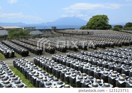 Kagoshima vinegared vinegar vineyard and Sakurajima 123123751
