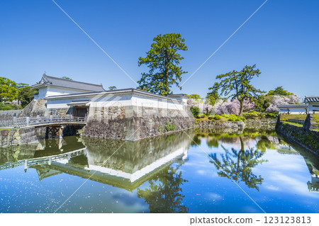 小田原城公園的春天：赤金右衛門 [神奈川縣小田原市] 123123813