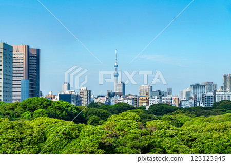 [東京] 被豐富的自然風光和城市建築包圍的東京晴空塔 123123945