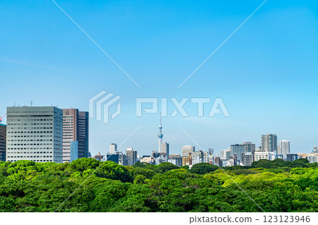 [Tokyo] Tokyo Skytree surrounded by abundant nature and urban buildings 123123946