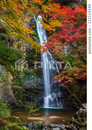 Minoo Waterfall with red bridge in autumn, Minoo Park Osaka, Japan Minoo Waterfall with red bridge in autumn, Minoo Park Osaka, Japan 123124249