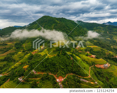 Aerial drone view of rice terrace field in the mist, northern of Vietnam 123124254
